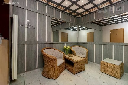 Prodej komerční nemovitosti 252 m²