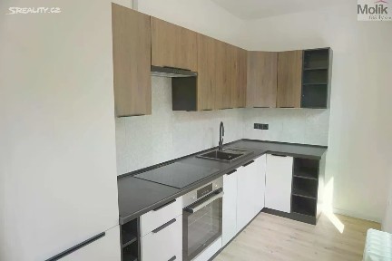 Prodej bytu 2+1 53 m² Studentská, Litvínov - Horní Litvínov