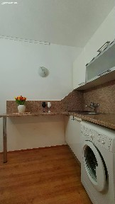 Pronájem bytu 1+1 32 m² Halasovo náměstí, Brno - Lesná