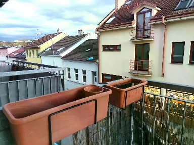 Pronájem bytu 1+kk 37 m² Škárova, Brno - Královo Pole