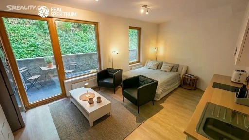 Pronájem bytu 1+kk 48 m² Pastviny, Brno - Komín