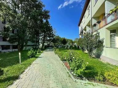 Pronájem bytu 1+kk 21 m² Hády, Brno - Maloměřice