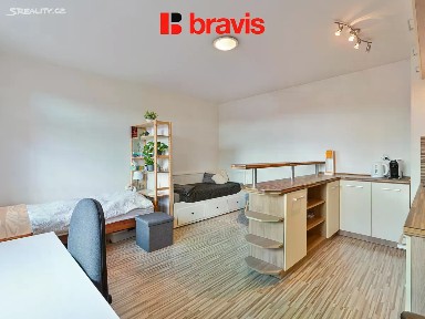 Pronájem bytu 1+kk 29 m² Křenová, Brno - Trnitá