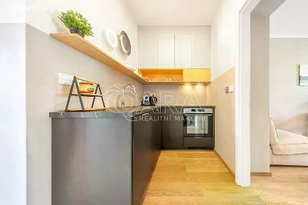 Prodej bytu 1+kk 33 m² Milíčova, Praha - Žižkov