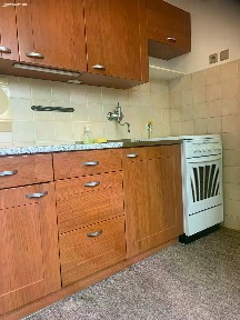 Prodej bytu 2+1 45 m² V olšinách, Praha
