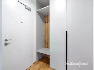 Pronájem bytu 1+kk 33 m² Závišova, Praha - Nusle