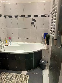 Pronájem bytu 2+1 56 m² Nad olšinami, Praha - Vinohrady
