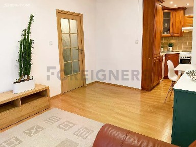 Pronájem bytu 2+kk 45 m² U Děkanky, Praha - Nusle