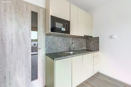 Pronájem bytu 1+kk 26 m² Na Zlíchově, Praha