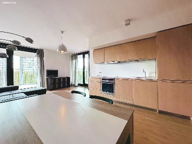 Pronájem bytu 2+kk 55 m² Pitterova, Praha - Žižkov