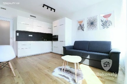 Pronájem bytu 1+kk 29 m² Nádražní, Praha - Smíchov