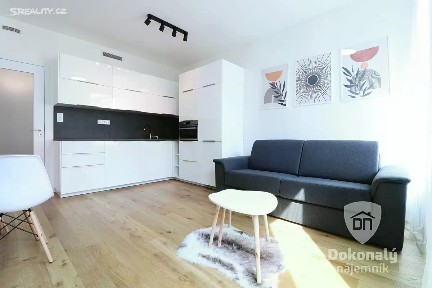 Pronájem bytu 1+kk 29 m²