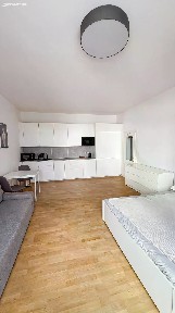 Pronájem bytu 1+kk 41 m² Záhřebská, Praha - Vinohrady