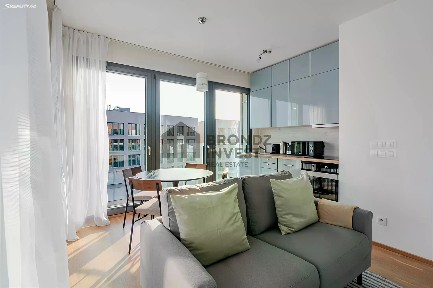 Pronájem bytu 2+kk 46 m² Breitfeldova, Praha - Karlín