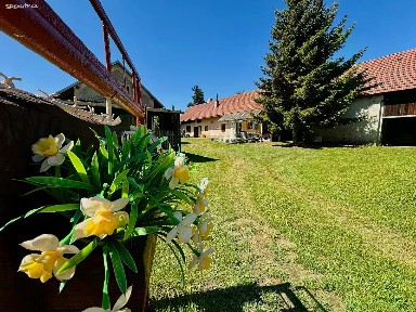 Prodej rodinného domu 95 m², pozemek 3330 m² Za Potokem, Dolní Ředice