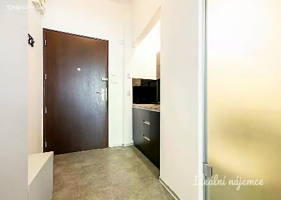 Pronájem bytu 1+kk 30 m² Dlouhá, Praha - Staré Město