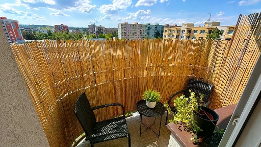 Prodej bytu 1+1 42 m² K. Šafáře, České Budějovice - České Budějovice 2