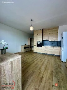 Pronájem bytu 1+kk 27 m² Tachovská, Plzeň - Bolevec