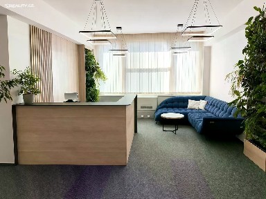 Pronájem kanceláře 596 m²