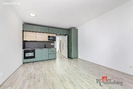 Pronájem bytu 1+kk 38 m² Železná, Plzeň - Jižní Předměstí