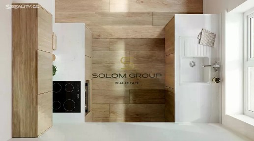 Prodej bytu 1+kk 39 m² Dřevěná, Plzeň - Vnitřní Město