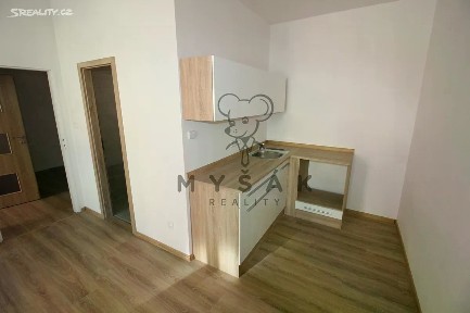 Pronájem bytu 1+1 38 m² Riegrova, České Budějovice - České Budějovice 3