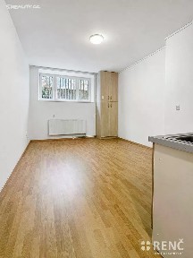 Pronájem bytu 1+kk 30 m² Bayerova, Brno - Veveří