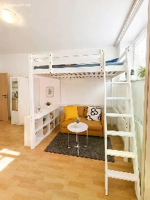Pronájem bytu 1+kk 30 m² Bayerova, Brno - Veveří
