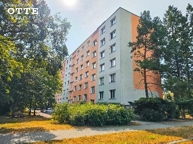 Prodej bytu 3+1 61 m² Raisova, Plzeň - Jižní Předměstí