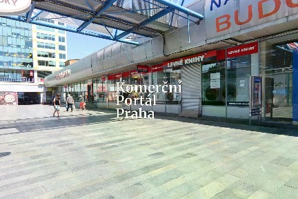 Pronájem obchodního prostoru 480 m²