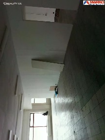 Pronájem obchodního prostoru 511 m² Školní pěšina, Chomutov
