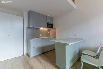 Pronájem bytu 1+kk 27 m² Na Maninách, Praha - Holešovice