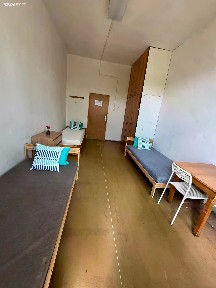 Pronájem bytu pokoje 20 m² Králův Dvůr