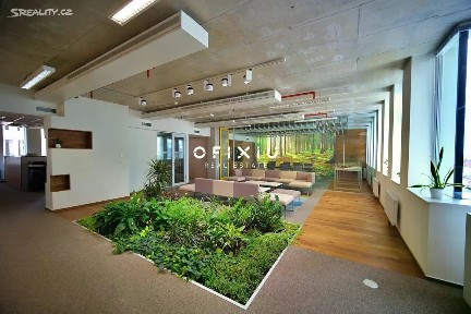 Pronájem kanceláře 85 m²