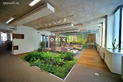 Pronájem kanceláře 85 m²