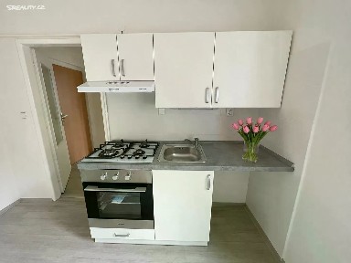Pronájem bytu 1+1 25 m² Seifertova, Litvínov - Horní Litvínov
