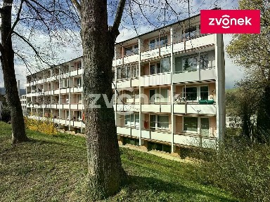Pronájem bytu 1+kk 33 m² Družstevní, Zlín