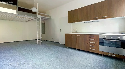 Pronájem bytu 1+kk 31 m² U čtyř domů, Praha - Nusle