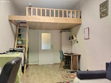 Pronájem bytu 1+kk 38 m² Bořivojova, Praha - Žižkov