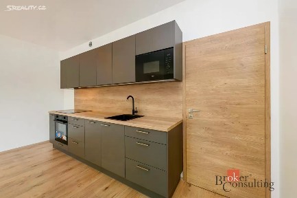 Pronájem bytu 2+kk 56 m² Železná, Plzeň - Jižní Předměstí