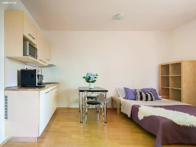 Pronájem bytu 1+kk 32 m² Božetěchova, Brno - Královo Pole