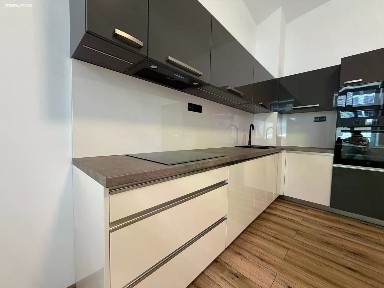 Pronájem bytu 1+1 38 m² Zelenkova, Duchcov