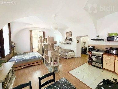 Prodej bytu 1+kk 57 m²