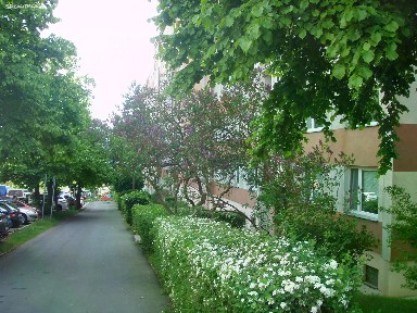 Prodej bytu 1+kk 19 m² SNP, Ústí nad Labem - Ústí nad Labem-centrum
