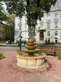 Pronájem ordinace 245 m² Lípová, Teplice