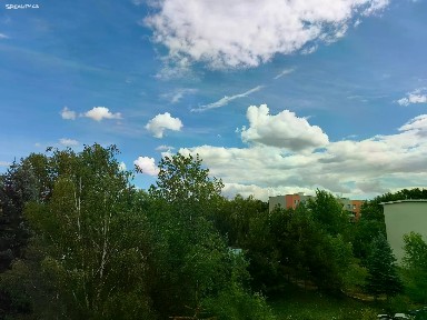 Prodej bytu 1+1 29 m² Braniborská, Milovice - Mladá