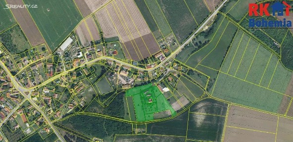 Cholenice