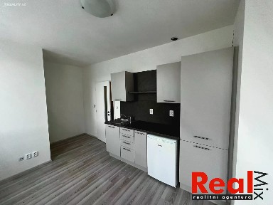 Pronájem bytu 1+kk 24 m² Kounicova, Brno - Veveří