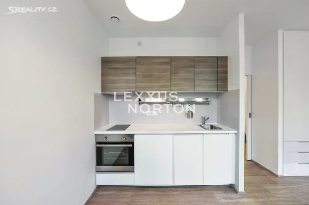 Pronájem bytu 1+kk 30 m² Lucemburská, Praha - Vinohrady