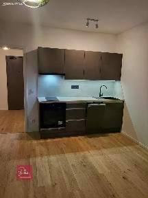 Pronájem bytu 1+kk 32 m² Bratislavská, Brno - Zábrdovice